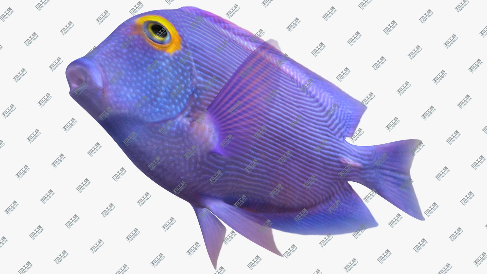 images/goods_img/2021040231/Kole Tang Animated 3D model/5.jpg